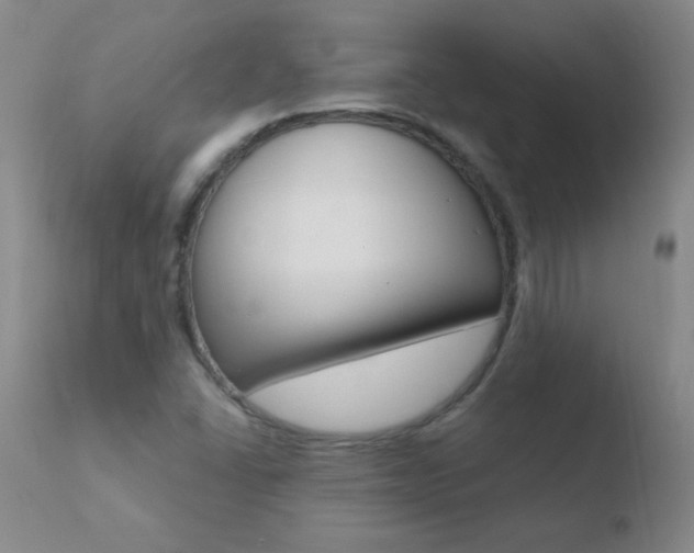 X0000110671406200906121050
