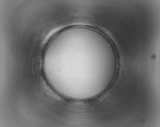 X0000110671408200906121050