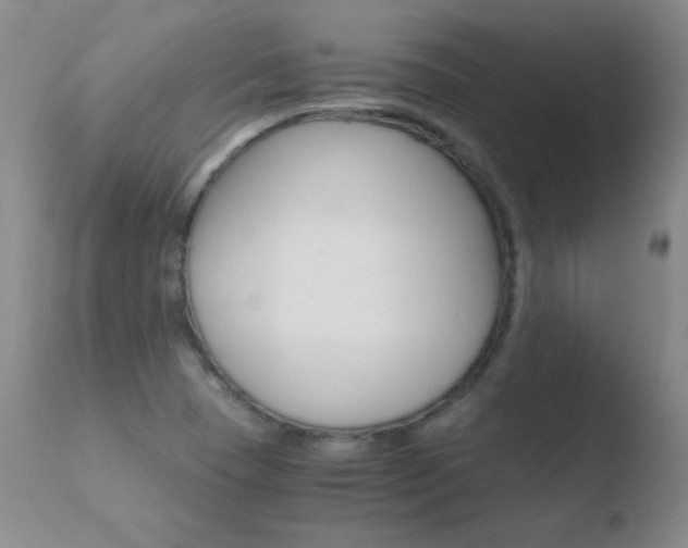 X0000110671409200906121050