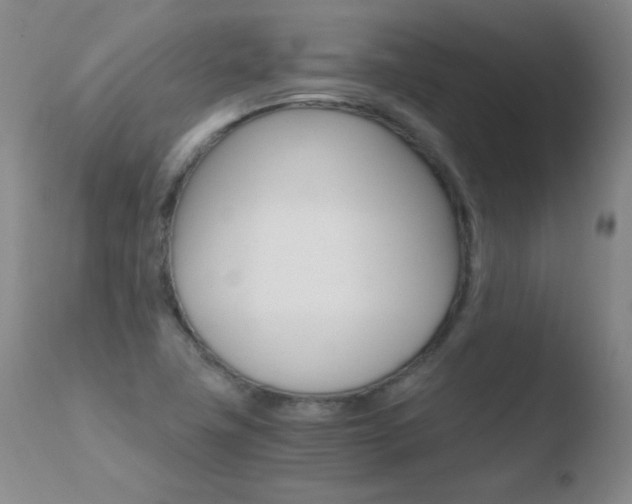 X0000110671411200906121050