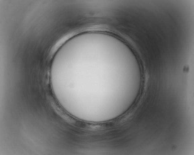 X0000110671413200906121050
