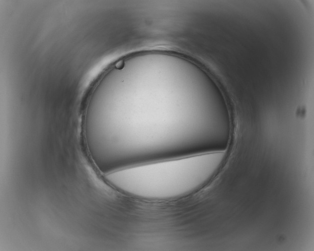 X0000110671414200906121050