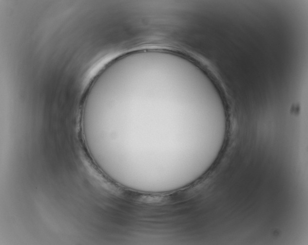 X0000110671415200906121050