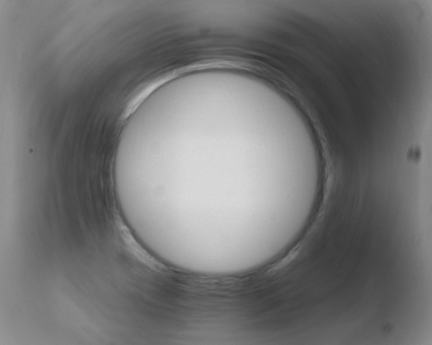 X0000110671417200906121050