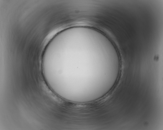 X0000110671419200906121050