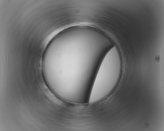 X0000110671420200906121050