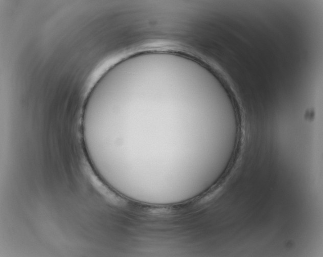X0000110671421200906121050
