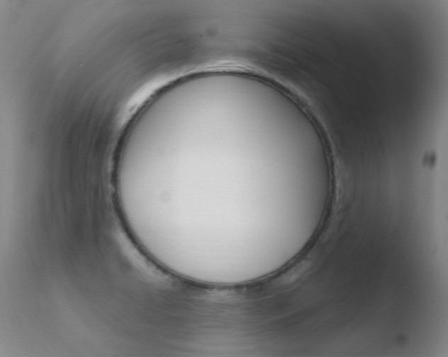 X0000110671422200906121050
