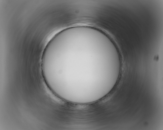 X0000110671423200906121050