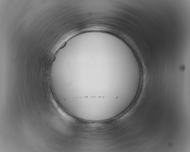 X0000110671425200906121050