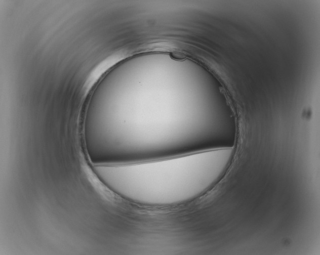 X0000110671426200906121050