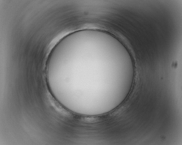 X0000110671427200906121050