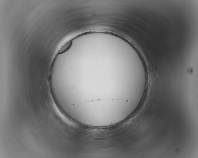 X0000110671429200906121050
