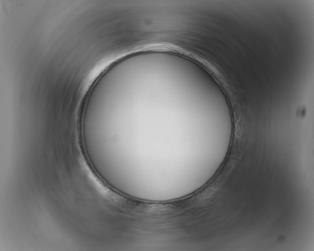 X0000110671430200906121050