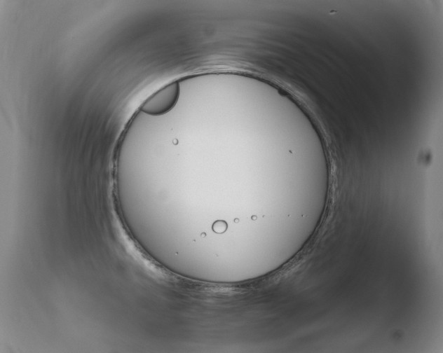 X0000110671431200906121050