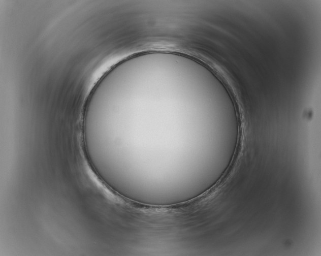 X0000110671432200906121050