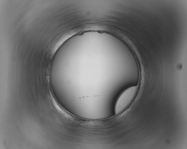 X0000110671433200906121050