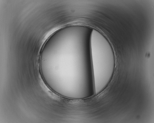X0000110671434200906121050