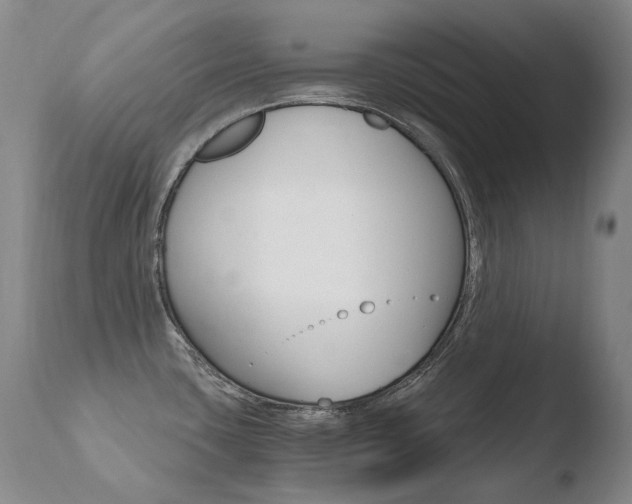 X0000110671435200906121050