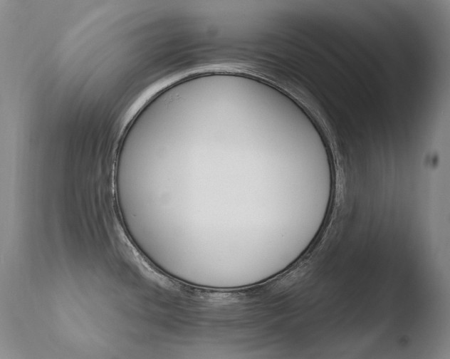 X0000110671436200906121050