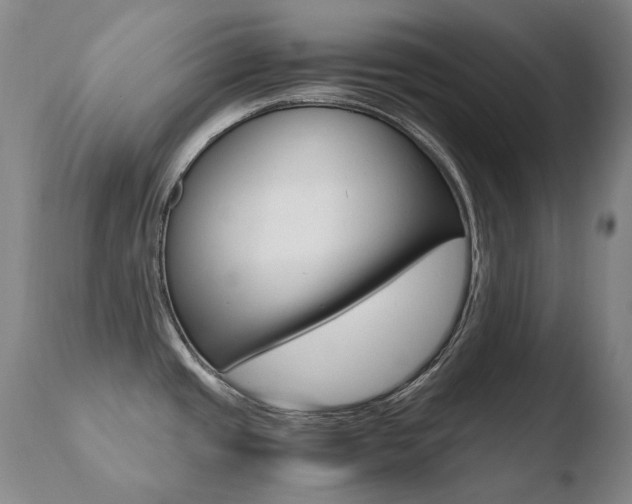 X0000110671437200906121050