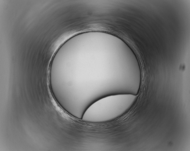 X0000110671439200906121050