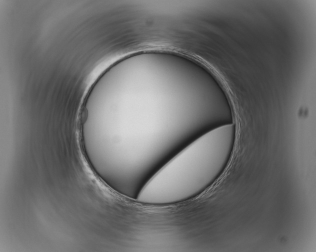 X0000110671440200906121050