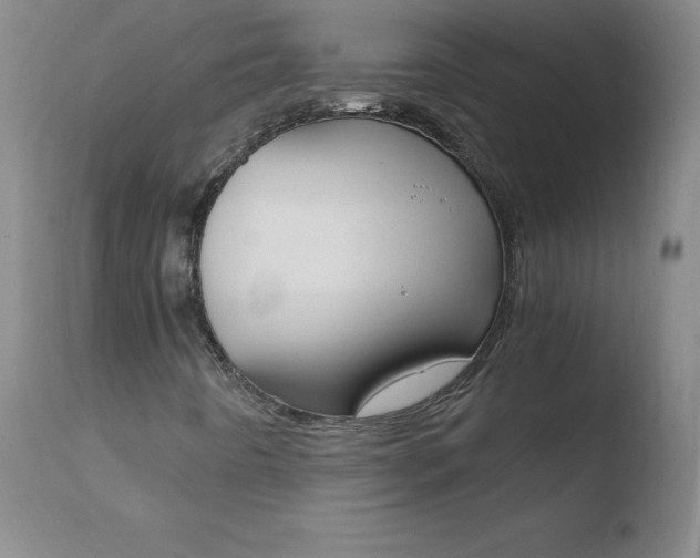 X0000110671442200906121049