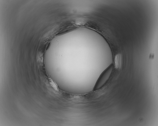 X0000110671443200906121049