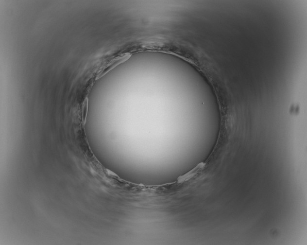 X0000110671445200906121049