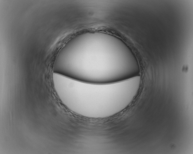 X0000110671447200906121049