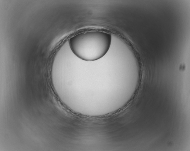 X0000110671448200906121049