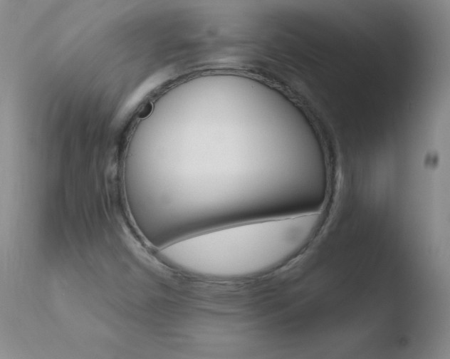 X0000110671450200906121049