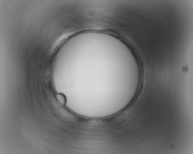 X0000110671451200906121049