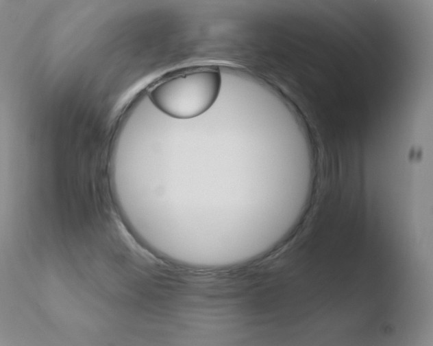 X0000110671452200906121049