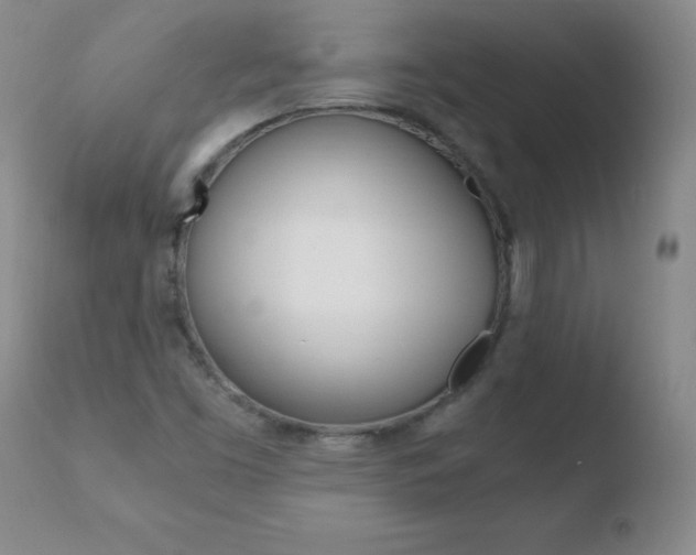 X0000110671453200906121049