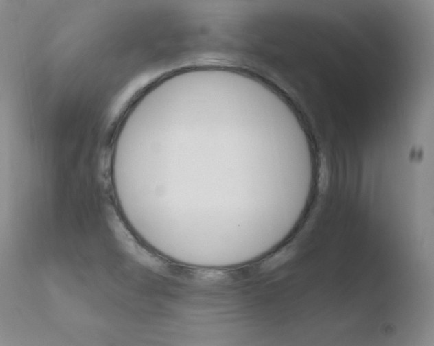 X0000110671454200906121049