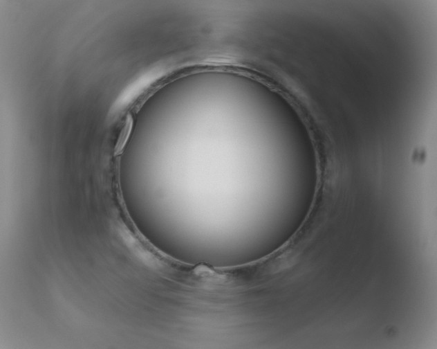 X0000110671456200906121049