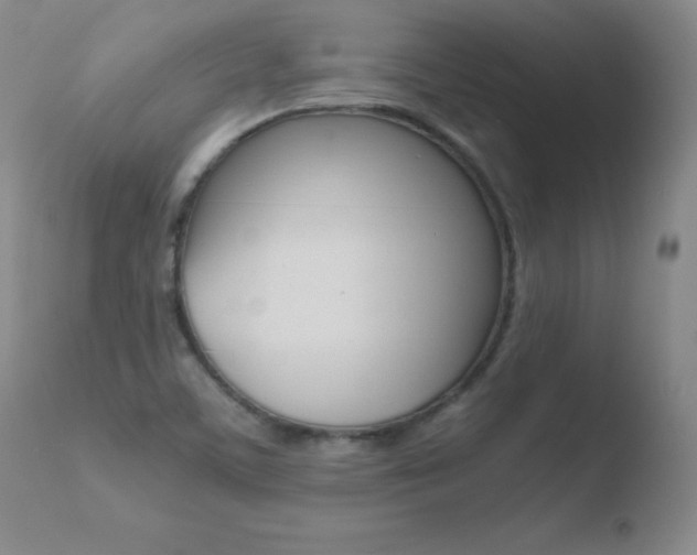 X0000110671459200906121049
