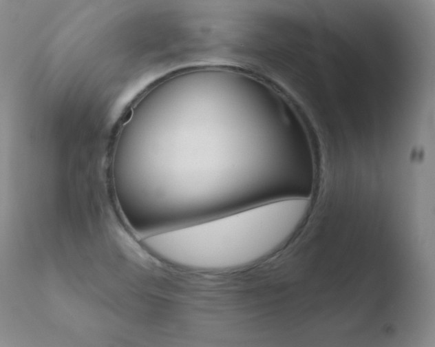X0000110671460200906121049