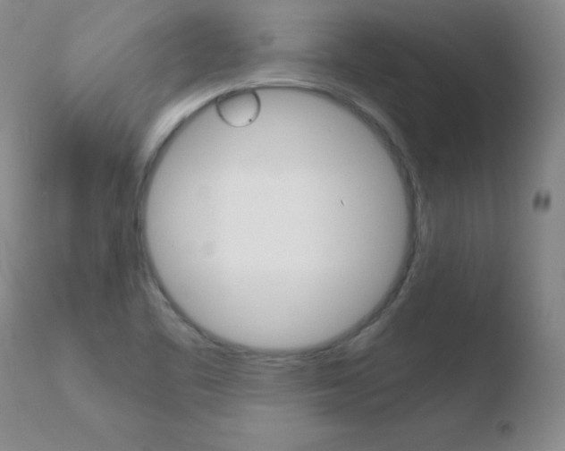 X0000110671461200906121049