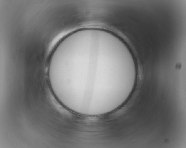 X0000110671462200906121049
