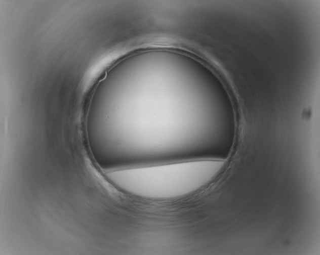 X0000110671464200906121049