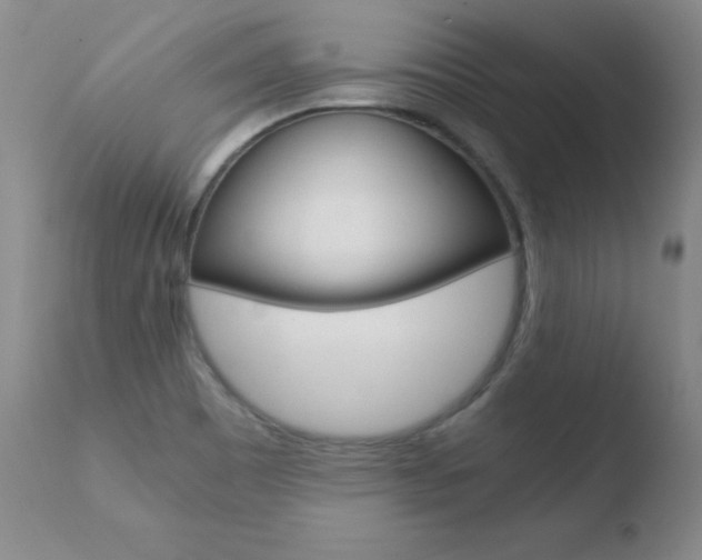 X0000110671465200906121049