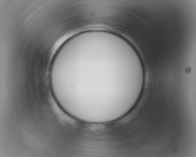 X0000110671466200906121049