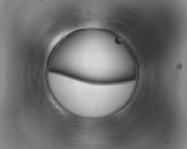 X0000110671469200906121049