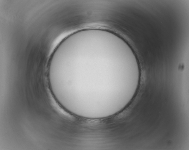 X0000110671470200906121049