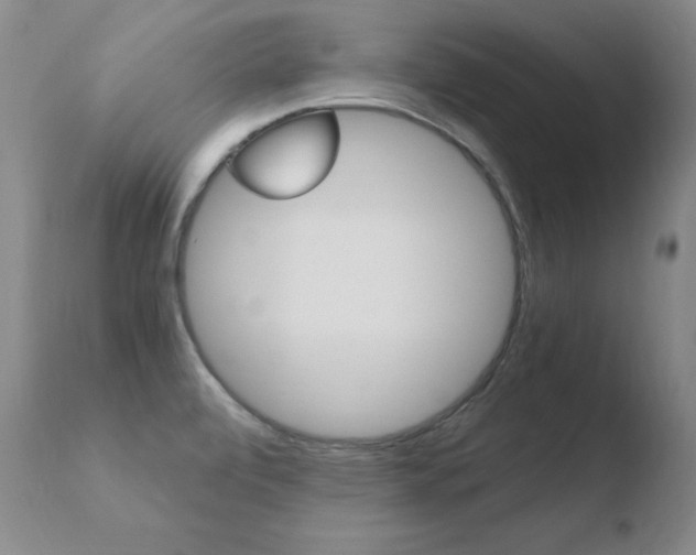 X0000110671472200906121049