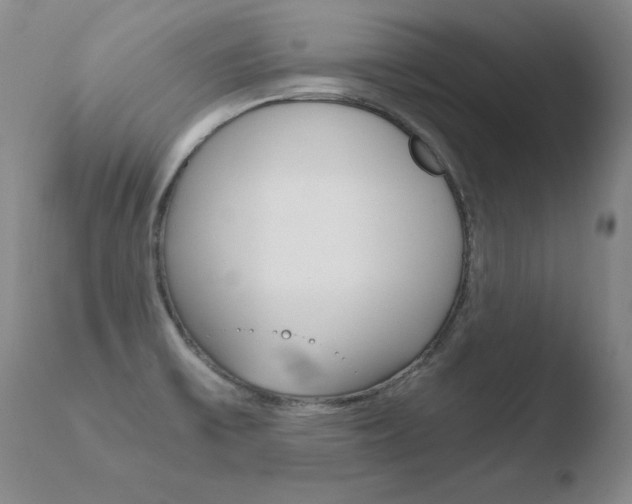 X0000110671475200906121049