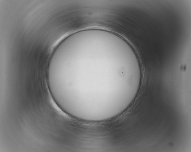 X0000110671476200906121049